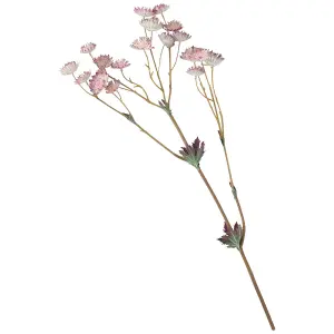 Bloom Artificial Single Pink Astrantia Flower Stem - Faux Fake Silk Flower Indoor Home Decoration Floral Arrangements - L60cm