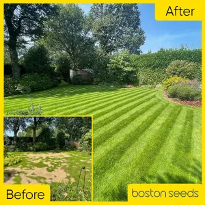 Boston Seeds BS Premier Lawn Grass Seed (25 x 20kg)