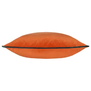 Paoletti Meridian Velvet Feather Rich Cushion