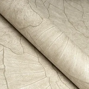 Galerie Feel Beige Metallic Seashell Leaf Wallpaper Roll