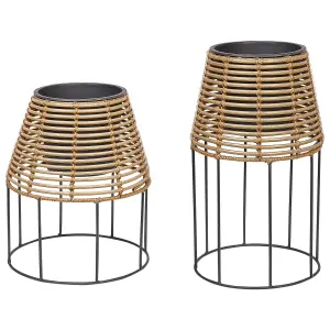 Set of 2 Elevated Plant Pots BORAGO PE Rattan Natural