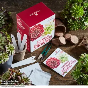 Gift Seed Grow Kit Stunning Succulents