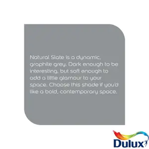 Dulux Easycare Natural Slate Matt Wall paint, 5L