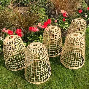 GardenSkill Bamboo Bell Cloche & Decorative Garden Plant Cover 40cm H, Pk of 5