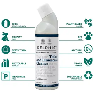 Delphis Eco Professional Cleaning Toilet and Limescale Cleaner 750ml