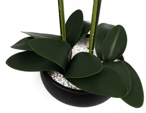 60cm Orchid Yellow - Black Ceramic Planter