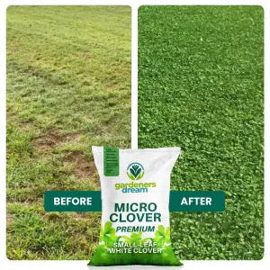 5kg Micro White Clover Grass Seed Eco-Friendly Drought Resistant Lawn Cover