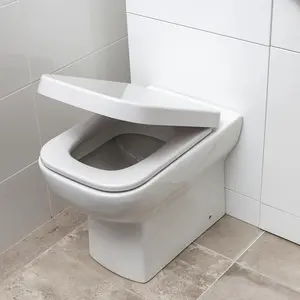 Astral Back to Wall Toilet with Soft Close Toilet Seat & Anti-Bacterial Glaze