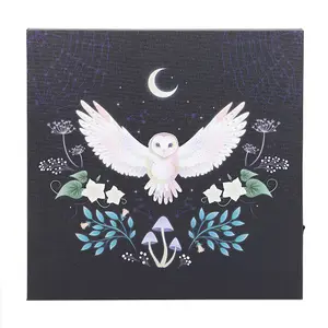 Something Different Night Owl Light Up Canvas Multicoloured (One Size)