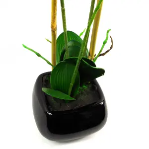 70cm Artificial Orchid Dark Pink with Black Ceramic Planter