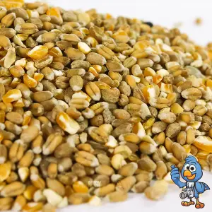 15kg BusyBeaks Mixed Poultry Corn - Premium Grade Food Feed For Chicken Geese Duck