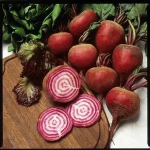 Beetroot 'Chioggia' 1 Seed Packet