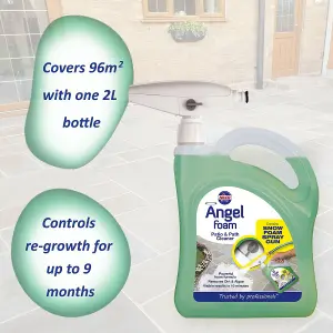 Nilco Angel Foam - Patio & Path Cleaner 4L Ready To Use Dirt Algae Remover 2x 2L