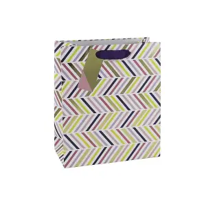 Eurowrap Chevron Gift Bag (Pack of 6) Multicoloured (M)