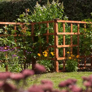 6x4 Heavy Duty Trellis Dip Treated (Pack of 3) - L122 x W122 x H183 cm