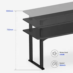 FlexiSpot Electrically Height-adjustable Desk 100kg Load Capacity in  White with 160x70cm White Desktop