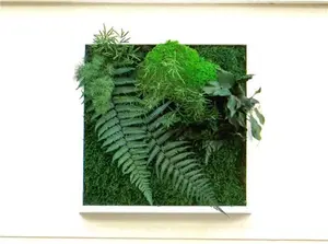 WEST POINT Square Stabilized Plant Wall - 30x30cm Sustainable And Ecological Interior Decoration, Green Home, Maintenance-Free Plant Wall.