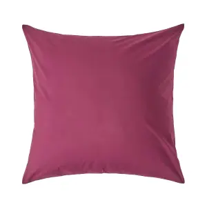 Homescapes Plum Continental Egyptian Cotton Pillowcase 200 TC, 60 x 60 cm