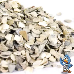 5kg BusyBeaks Hen Sized Oyster Shell - Premium Grade High In Calcium Poultry Grit