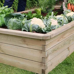 Zest Rectangular Sleeper Raised Wooden Bed Garden Planter 1.8m x 0.9m