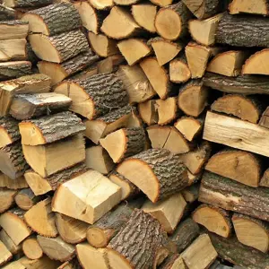 Kiln Dried Premium Fire Logs, 120 Kg OAK Firewood for Wood Burners, Stoves, Fireplaces & Home Fires, Long Burning Hardwood Logs