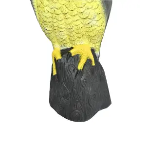 KCT Decoy Hawk Bird of Prey Scarer Outdoor Garden Deterrent Ornament