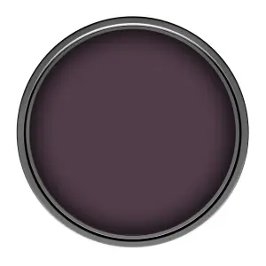 Leyland Trade Vinyl Matt Walls & Ceilings Emulsion Paint Purple Violet (RAL 4007) 1L