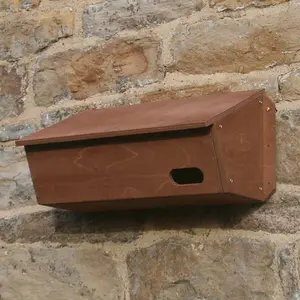 Swift Nest Box - Plywood - L21 x W43 x H21 cm