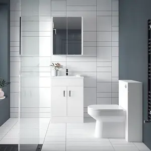 Dezine Saphire Gloss White 500mm WC Unit