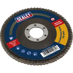 High-Performance 100mm Aluminium Oxide Flap Disc with 16mm Bore - 120 Grit for Metalworking