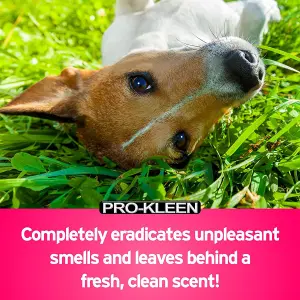 Pro-Kleen 10L Pump Sprayer with Pro-Kleen 5L Kennel Kleen Cut Grass For Catteries, Hutches, Aviaries, Patios, Artificial Grass