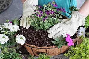 4 x Natural Coco Hanging Basket Liner Cupped Shaped Coco Liner for a 14 Inch Hanging Basket