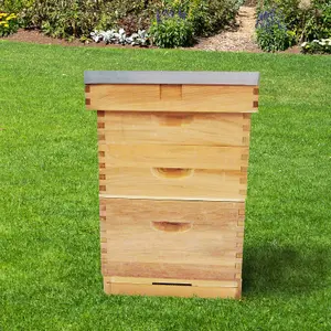 Langstroth Beehive In High Quality Cedar