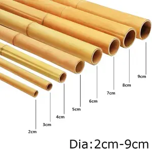 Gardens Large Extra Strong Heavy Duty Home Professional Bamboo Plant Support Garden Privacy Screen 3ft (10 - 12mm) 10 Canes