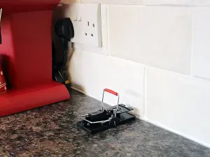 Rentokil - Advanced Mouse Trap