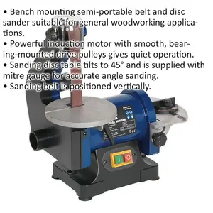 Versatile Portable Disc and Belt Sander for Woodworking - 250W 230V