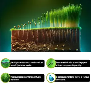 Pegdev - PDL - Fast Growing Grass Seed - Rapidly Transform Your Lawn into a Verdant Oasis (1kg)