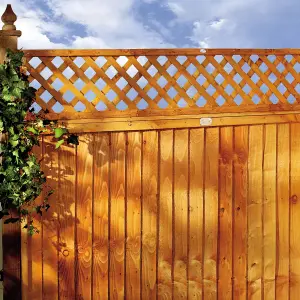 Forest Garden Diamond European softwood Trellis panel (W)32cm x (H)183cm