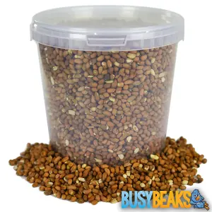 1L BusyBeaks Whole Peanuts - Fresh Premium Wild Garden Bird Energy Seed Food Feed