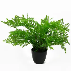 30cm Artificial Potted Southern Wood Fern Black Pot