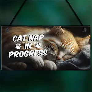 Red Ocean Novelty Cat Signs For Home CAT NAP IN PROGRESS Funny Cat Signs For Cat Lovers Cat Gifts Cat House Sign Friendship