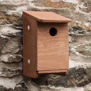 House Sparrow Nest Box - Plywood - L17 x W13 x H24 cm