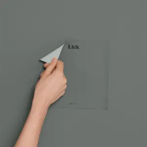 Lick Grey 17 Peel & stick Tester