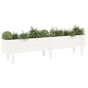 Berkfield Garden Raised Bed White 160x30x38 cm Solid Wood Pine