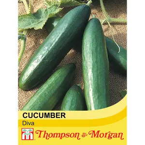 Cucumber (La) Diva 1 Seed Packet (10 Seeds)