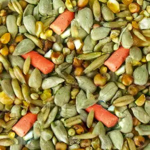 20kg SQUAWK Premium Wild Bird Food - All Season Seed Quality Garden Feed Mix