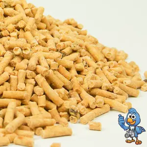 2.5L BusyBeaks Insect Suet Pellets - High Quality Feed Wild Garden Bird Food