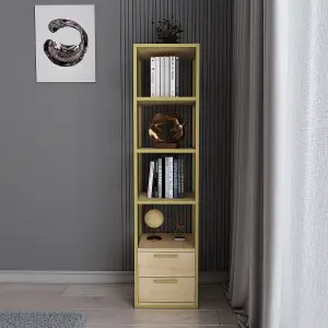 Decorotika Robins 4-tier Bookcase Bookshelf with Two Drawers (Gold Colour And Oak Pattern)