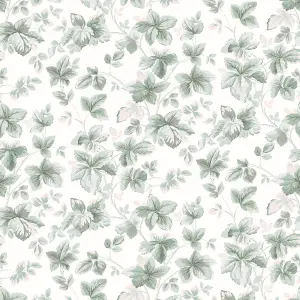 Laura Ashley Autumn Sage Green Leaves Smooth Wallpaper