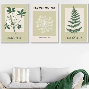 Set of 3 Framed Vintage Graphical Green Botanical / 50x70cm / White